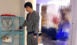 流动小厨爆料怎么做视频,轻松学会家常美食制作